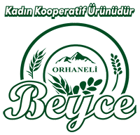 beyce